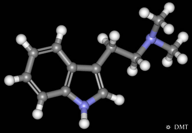Dmt-3d.jpg