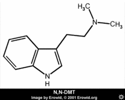 Dmt-2d.gif